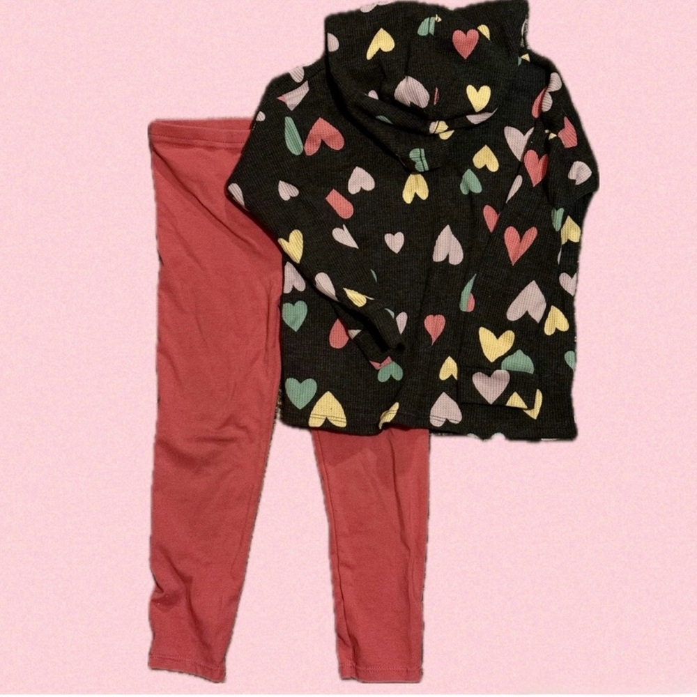 Garanimals sz 4T hoodie and pants heart set